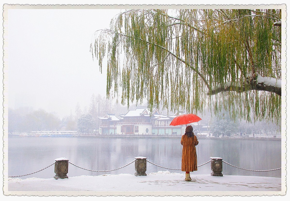 2023年第四季度随拍