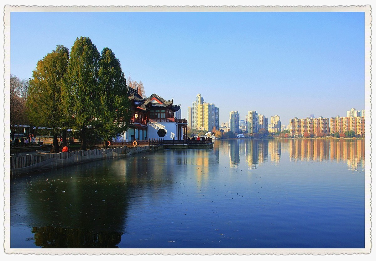 2023年第四季度随拍