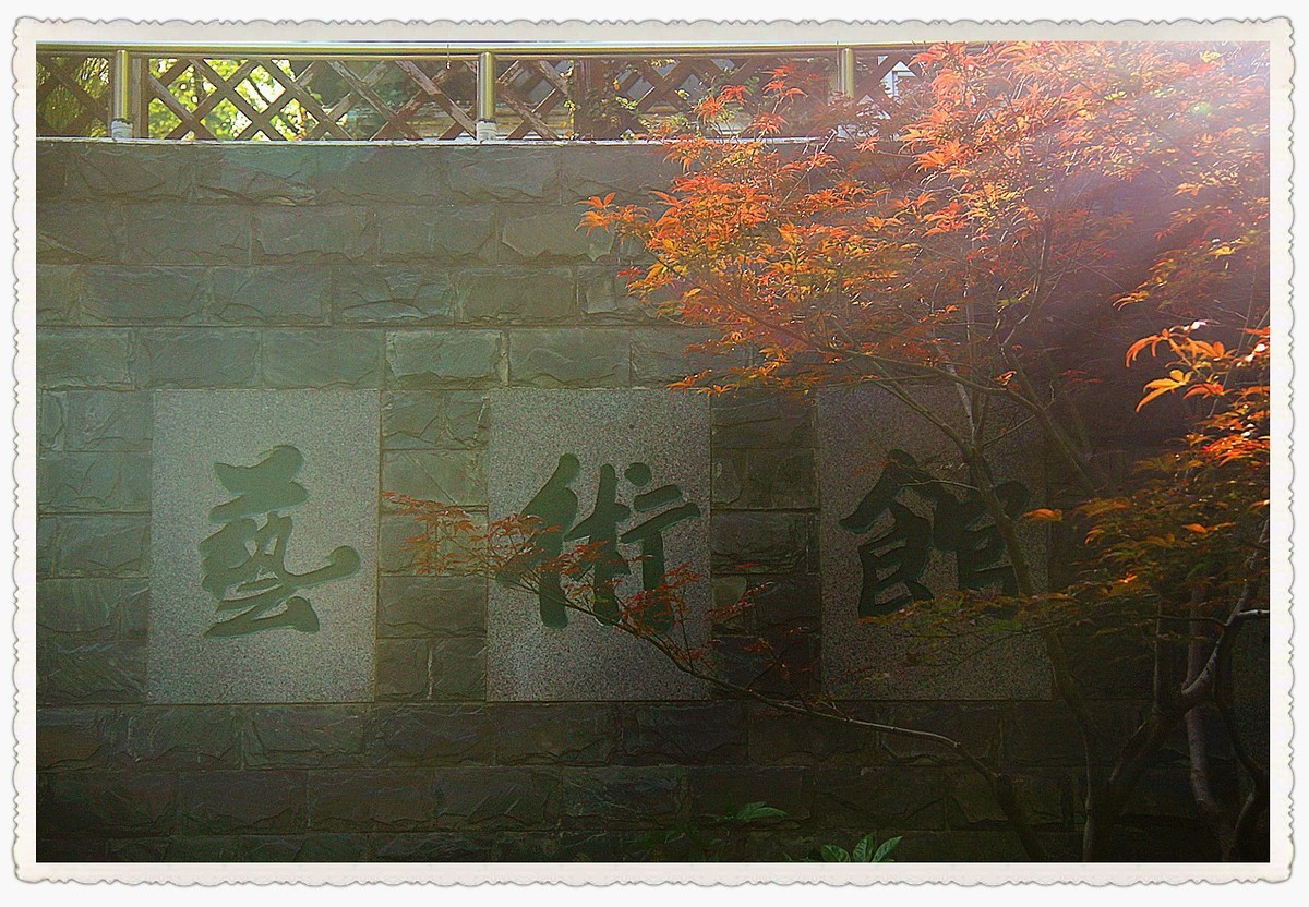 2023年第四季度随拍