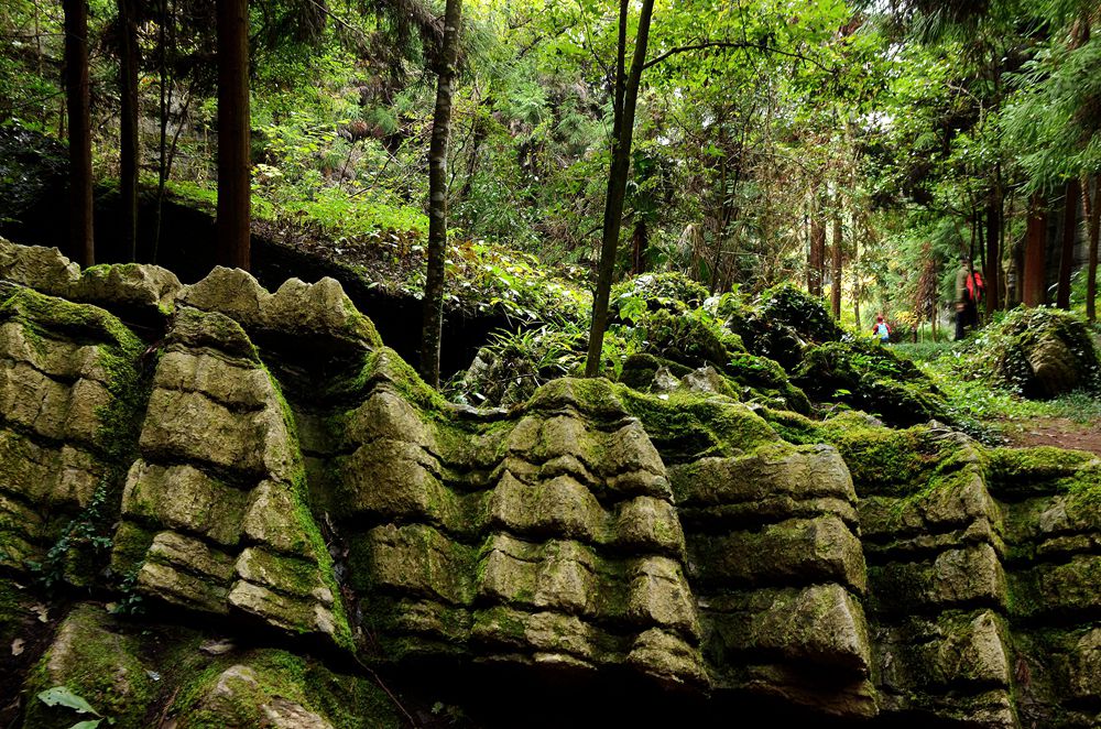 湖北恩施梭布亚石林2