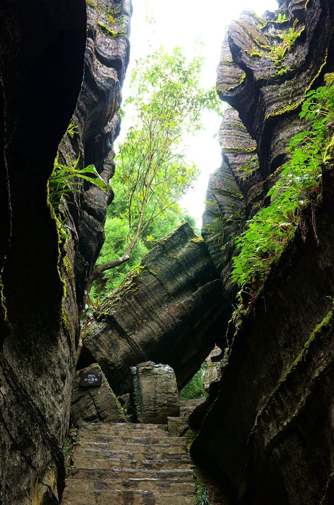 湖北恩施梭布亚石林2