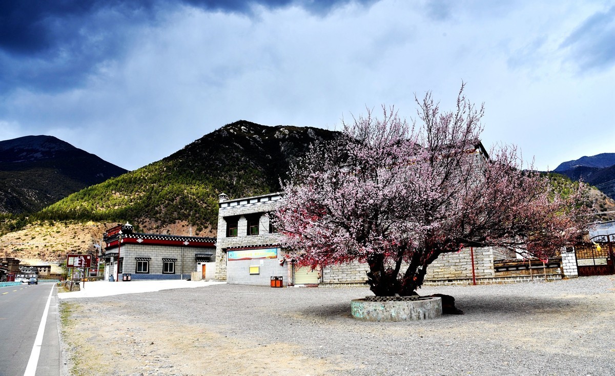 乡城到亚丁路途随拍【8】