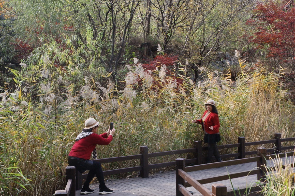 滨城游拍——初冬植物园（2024-1）