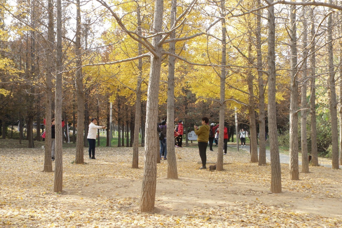 滨城游拍——初冬植物园（2024-1）