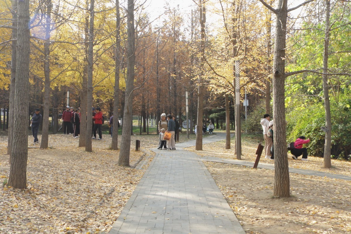 滨城游拍——初冬植物园（2024-1）