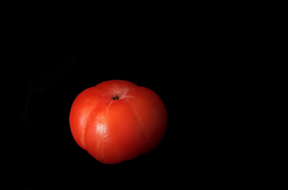 柿子