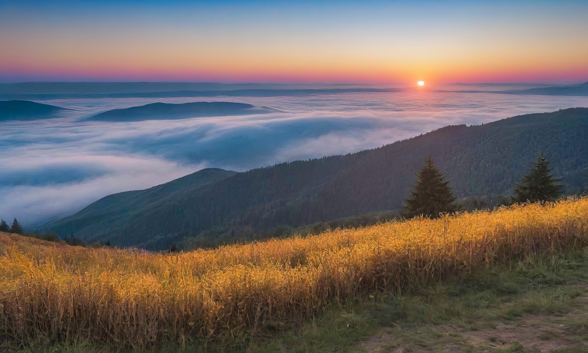 在这纯净的天地间