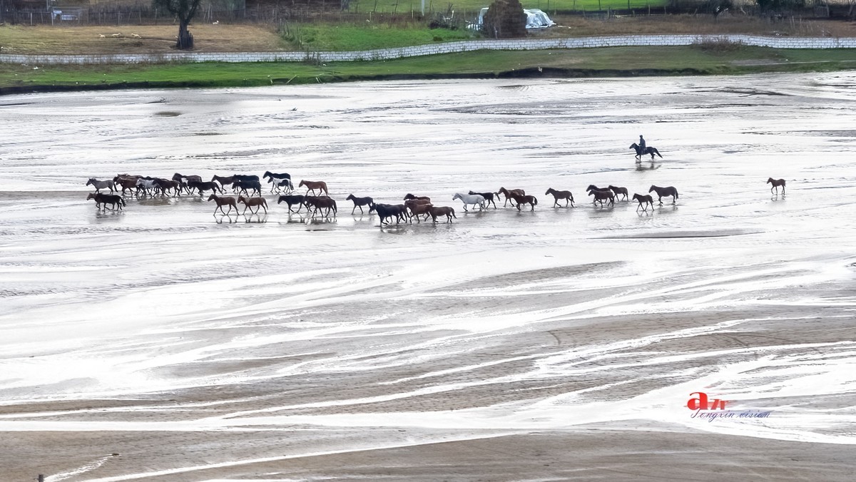 金秋乌兰布统——天太永（4）