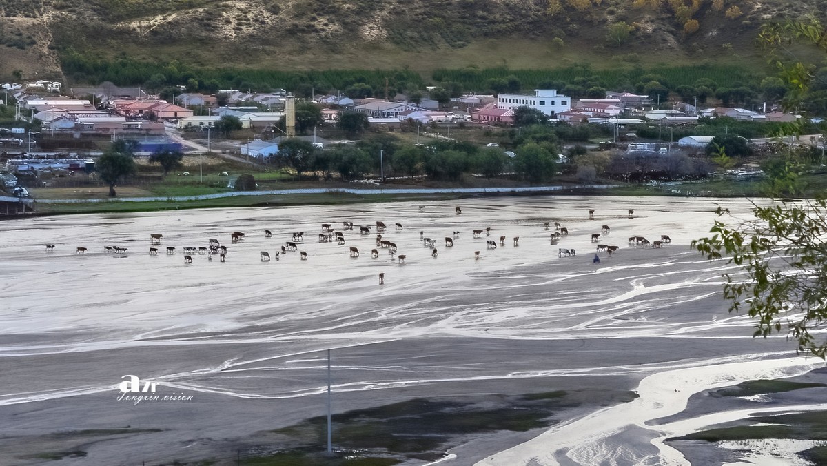 金秋乌兰布统——天太永（4）