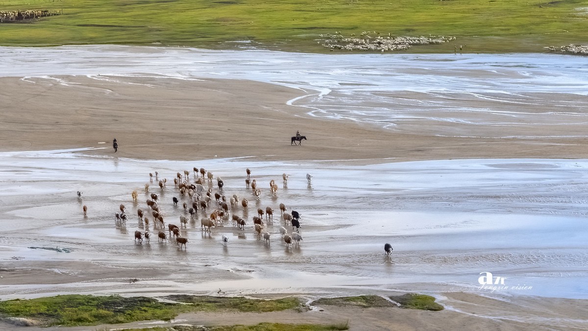 金秋乌兰布统——天太永（4）