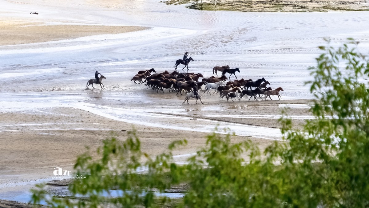 金秋乌兰布统——天太永（4）
