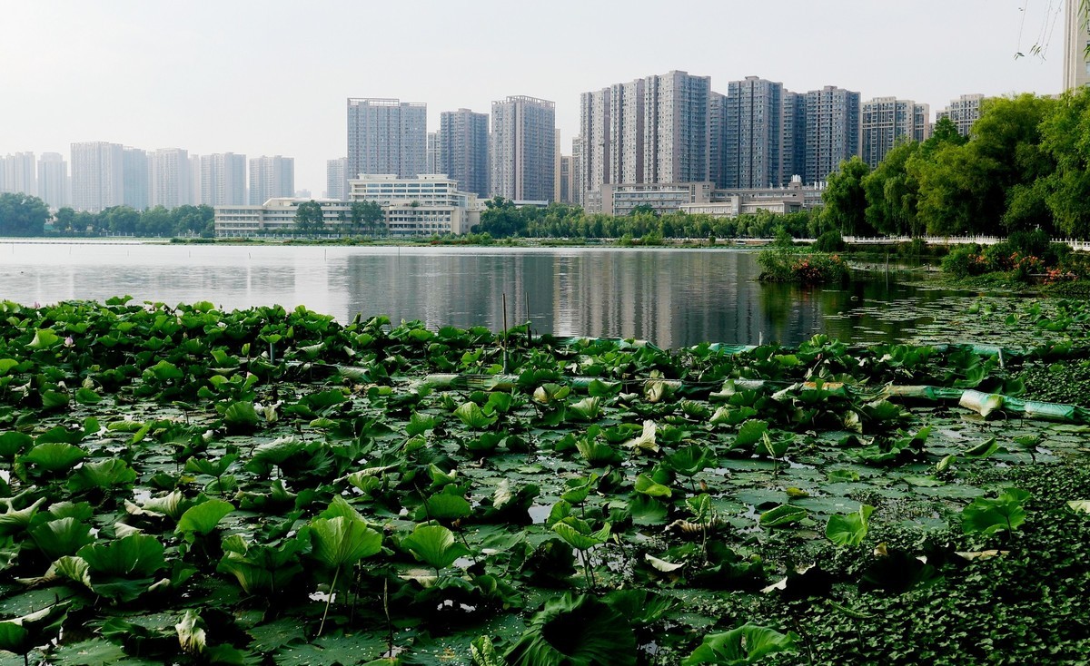 武汉映像----中南民族大学掠影！