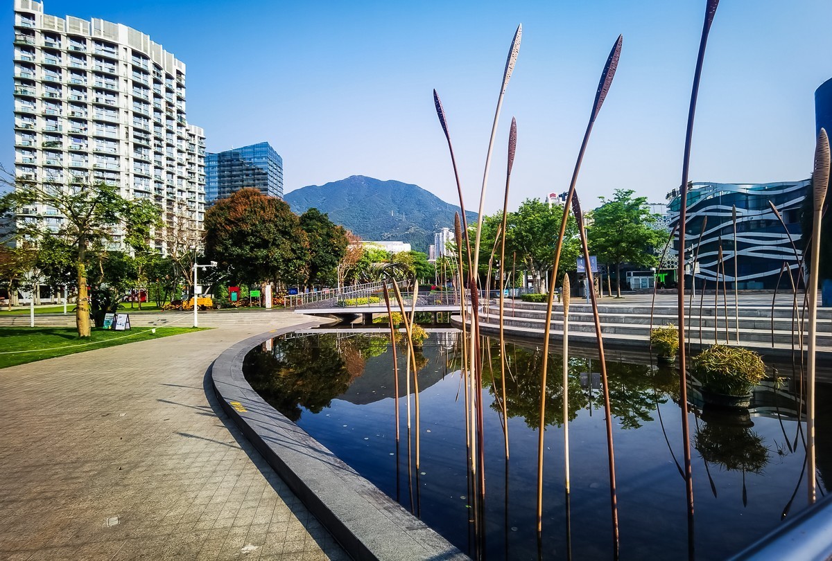 深圳盐田中央公园掠影