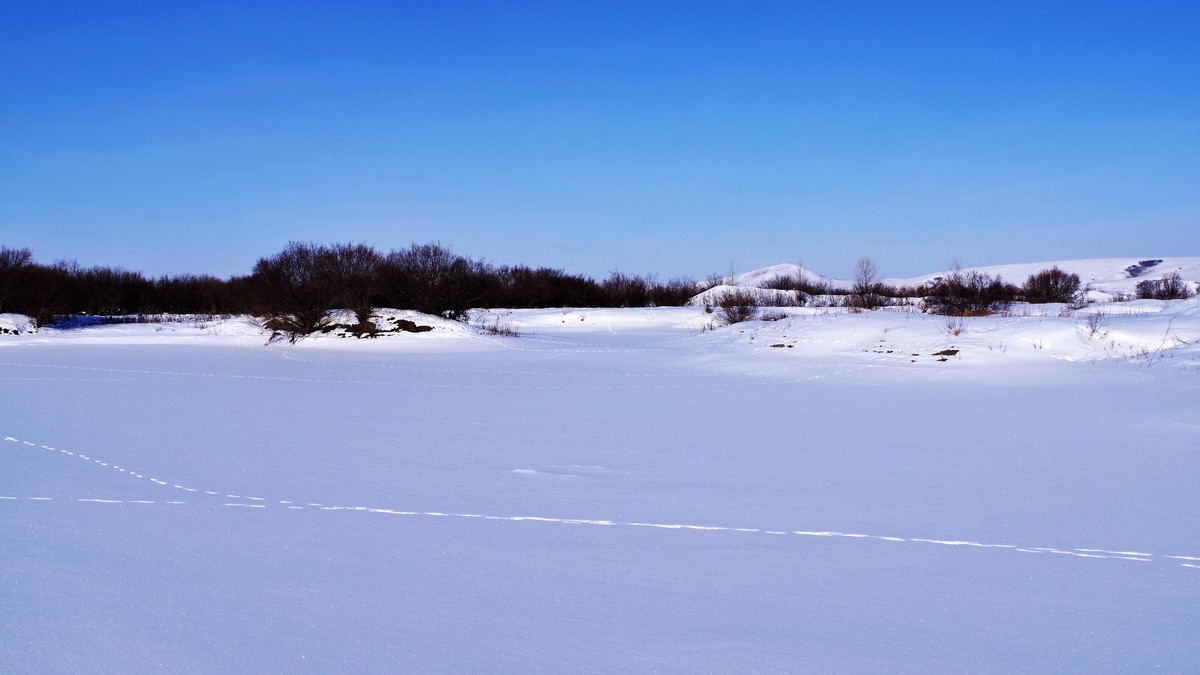 海河雪景图片