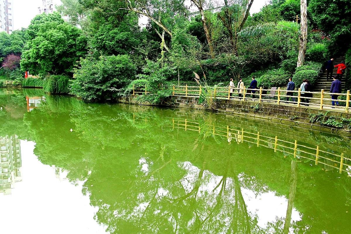 【 成 都 聚 丰 园 】{2}