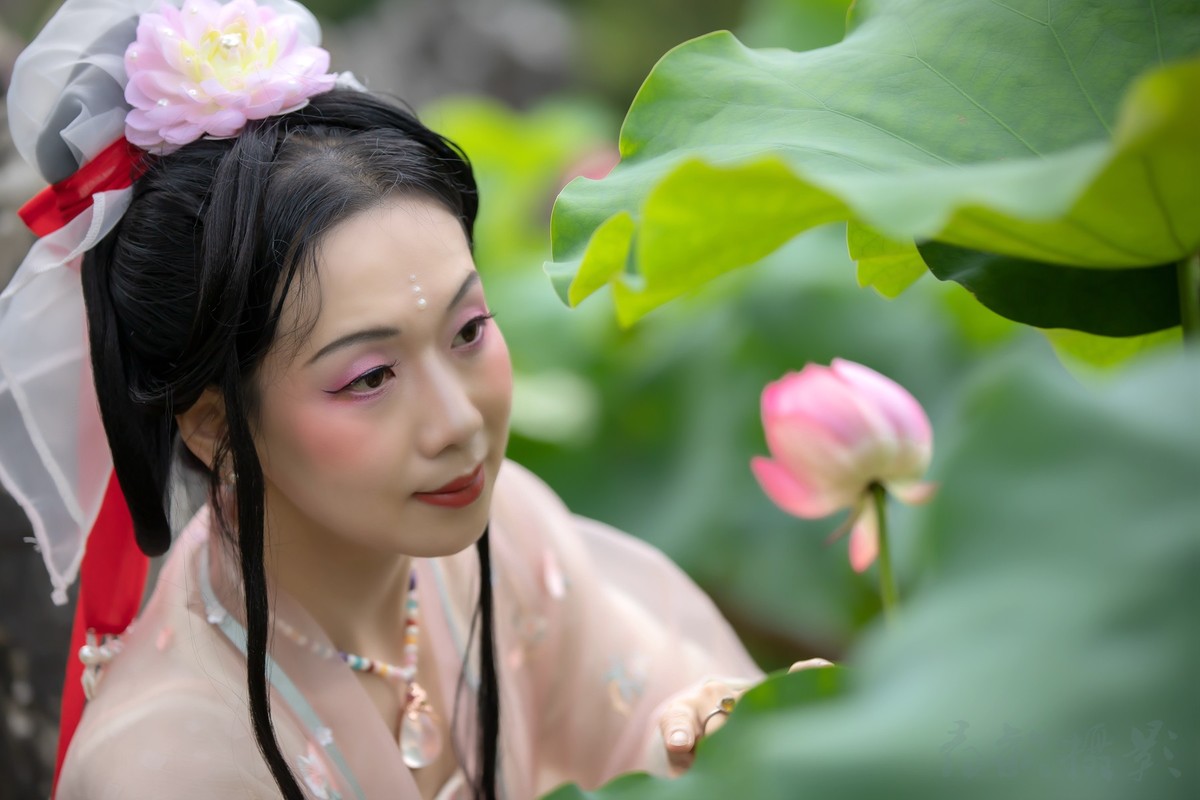 荷叶罗裙一色裁，芙蓉向脸两边开。