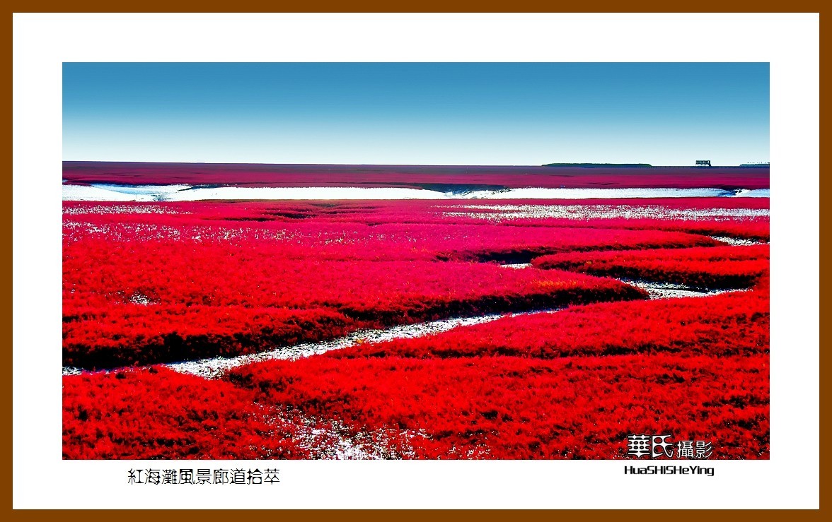 美色辽宁——红海滩风景廊道拾萃（盘锦市）