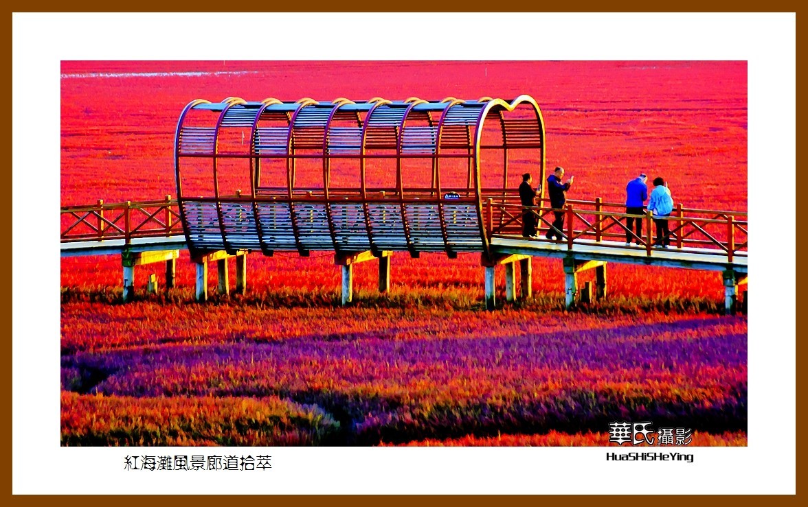 美色辽宁——红海滩风景廊道拾萃（盘锦市）