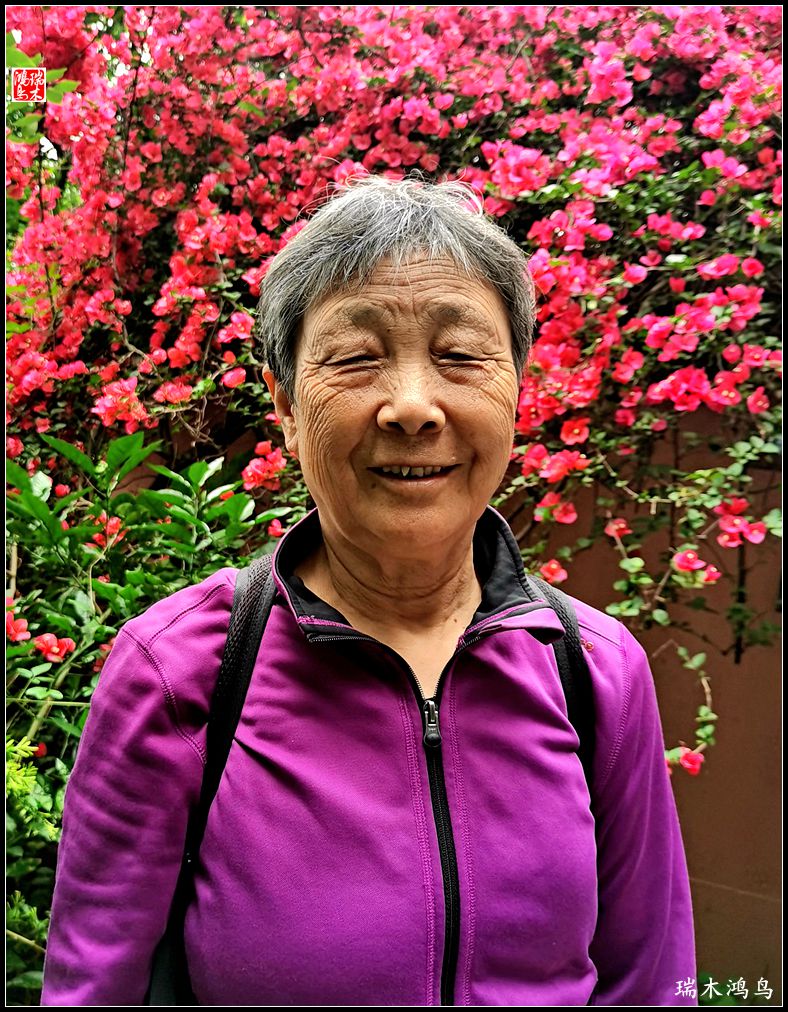 【赣南行摄】18.源远流长的江南宋城诉说着千年宋城文化