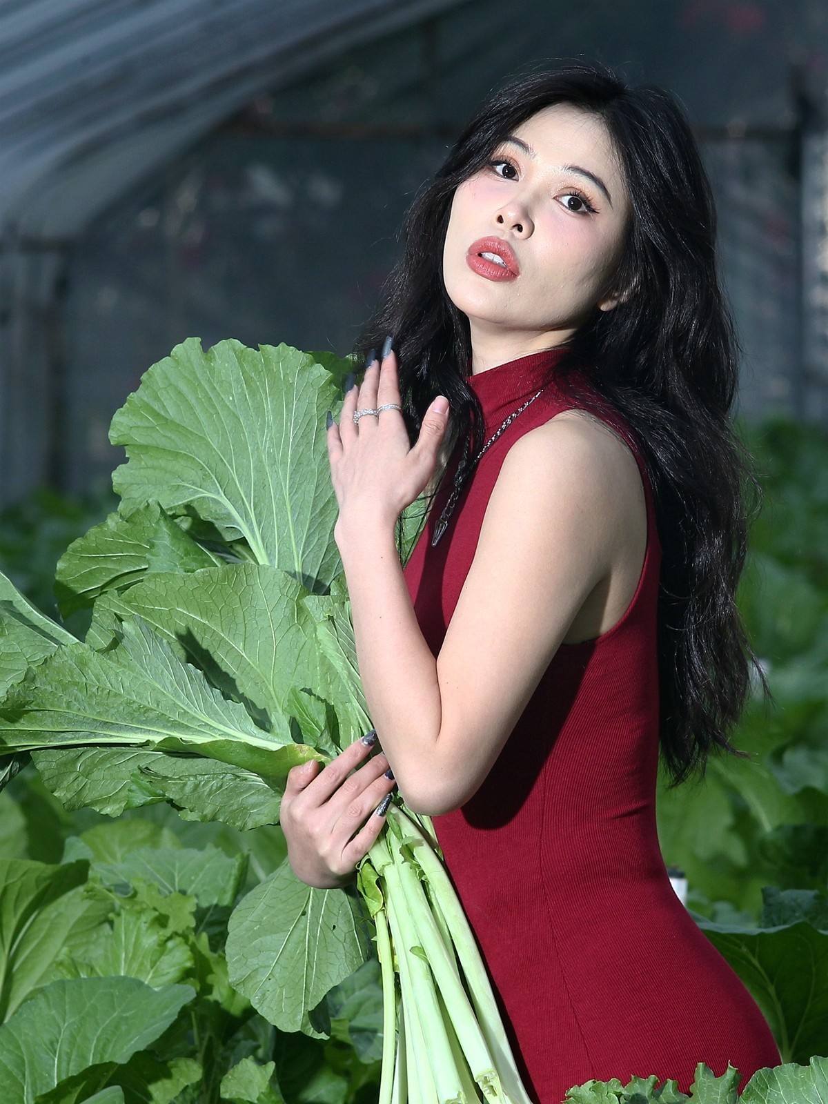 新时代、新农村、新女性