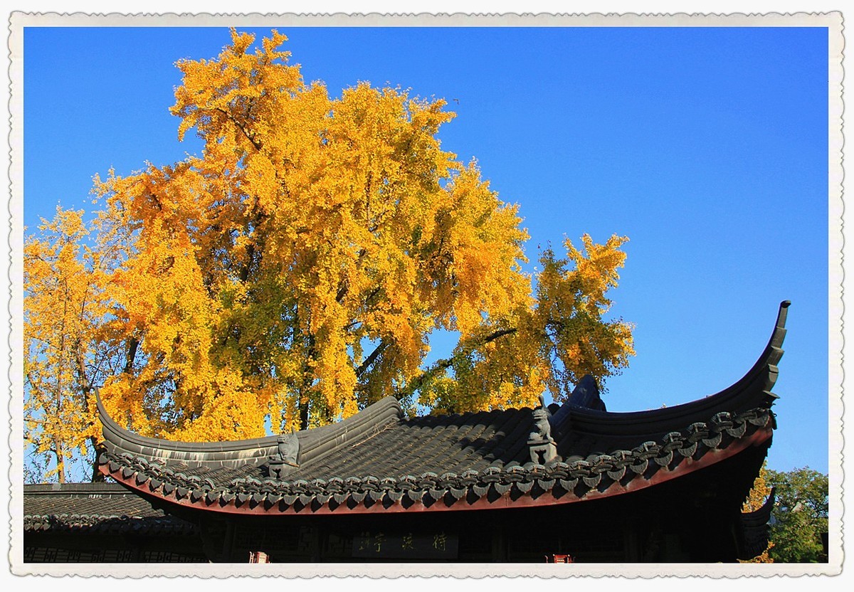 2023年第四季度随拍