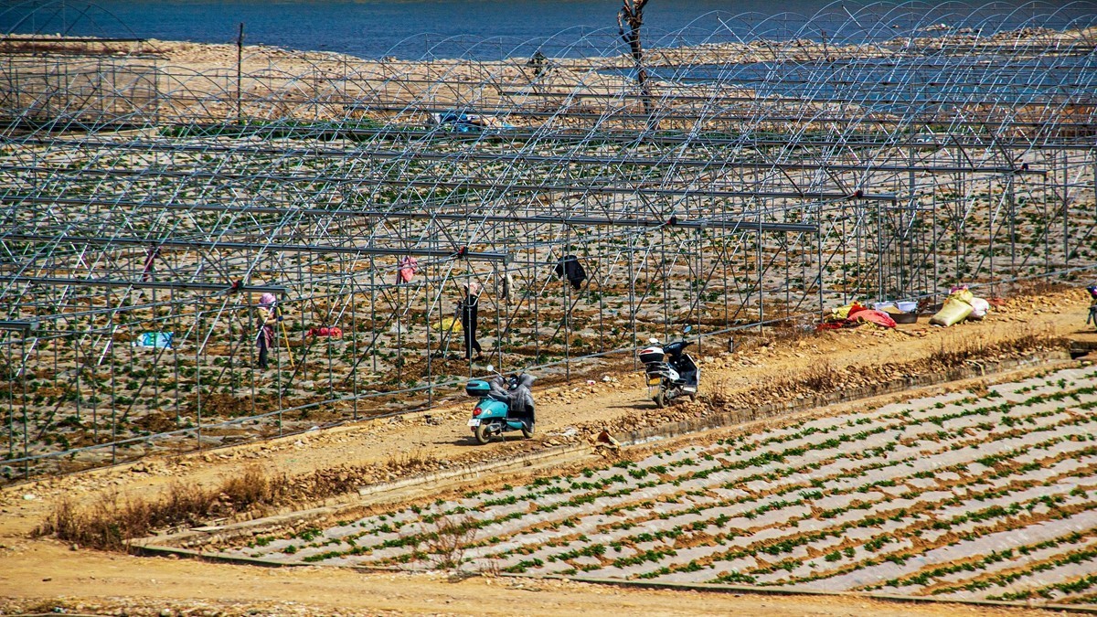 坐着火车到版纳沿途风光【23】