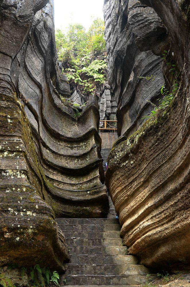 湖北恩施梭布亚石林2