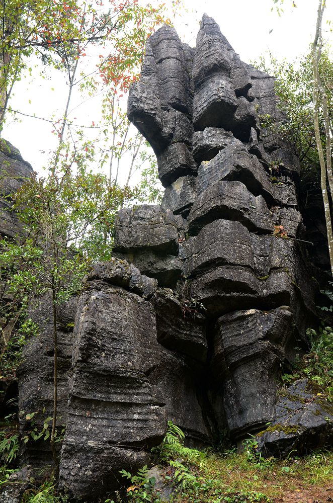 湖北恩施梭布亚石林2