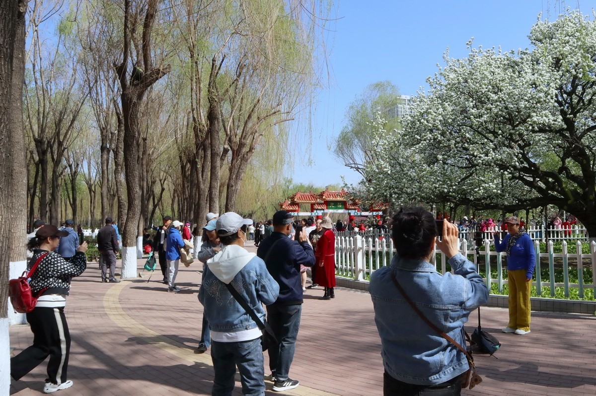 重遊古梨园     2/3