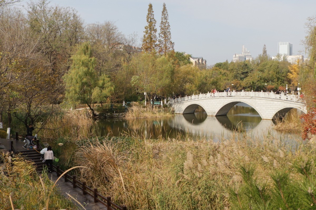 滨城游拍——初冬植物园（2024-1）