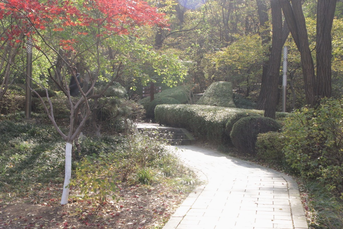 滨城游拍——初冬植物园（2024-1）