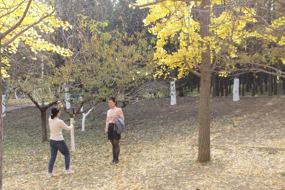 滨城游拍——初冬植物园（2024-1）