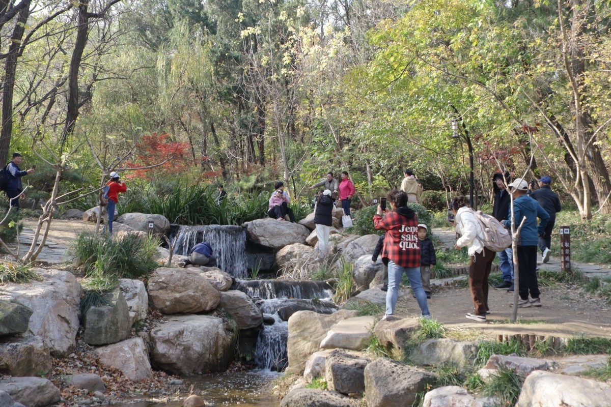 滨城游拍——初冬植物园（2024-1）