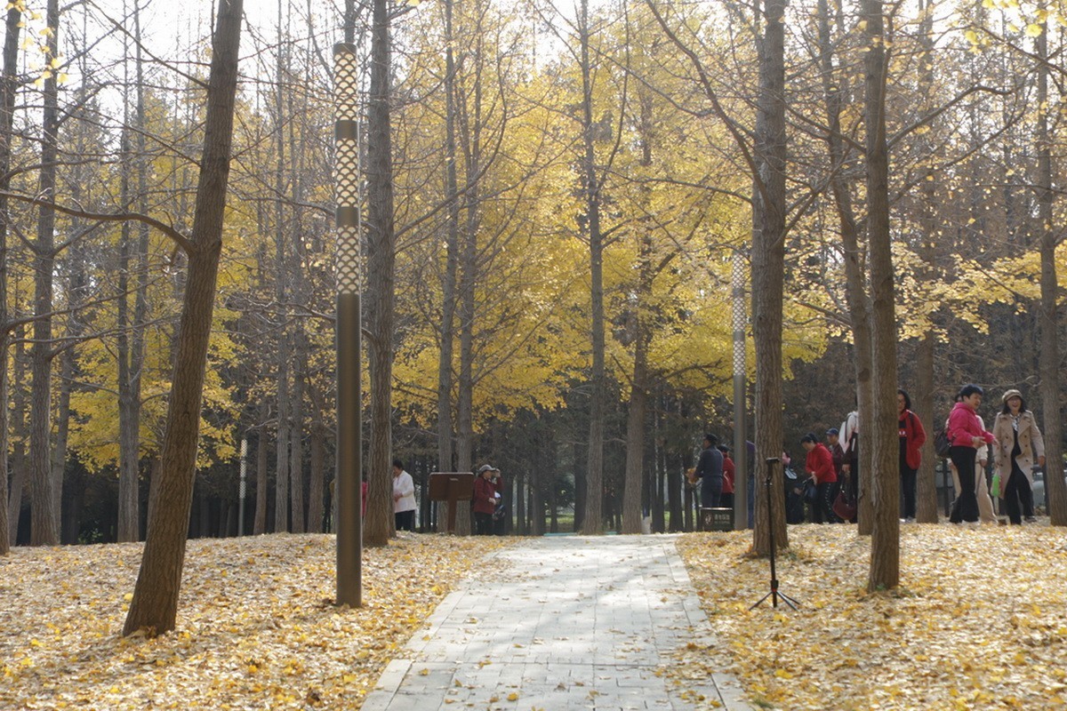 滨城游拍——初冬植物园（2024-1）