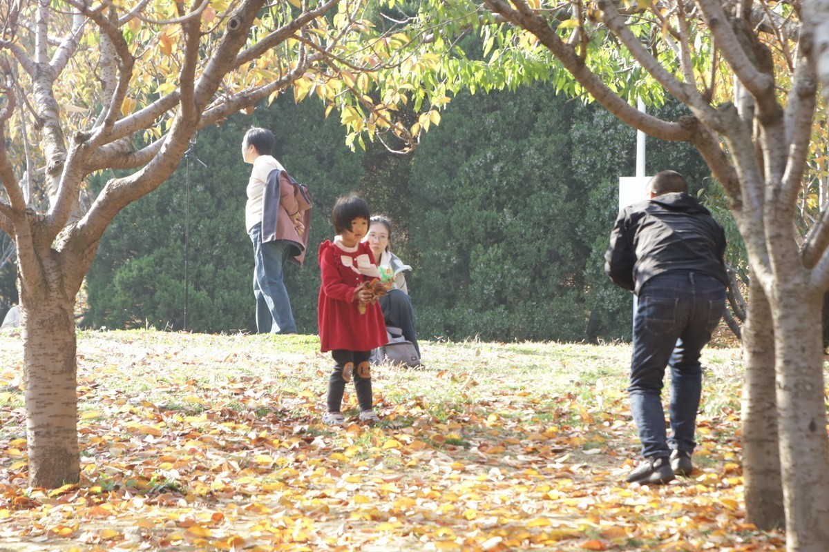 滨城游拍——初冬植物园（2024-1）