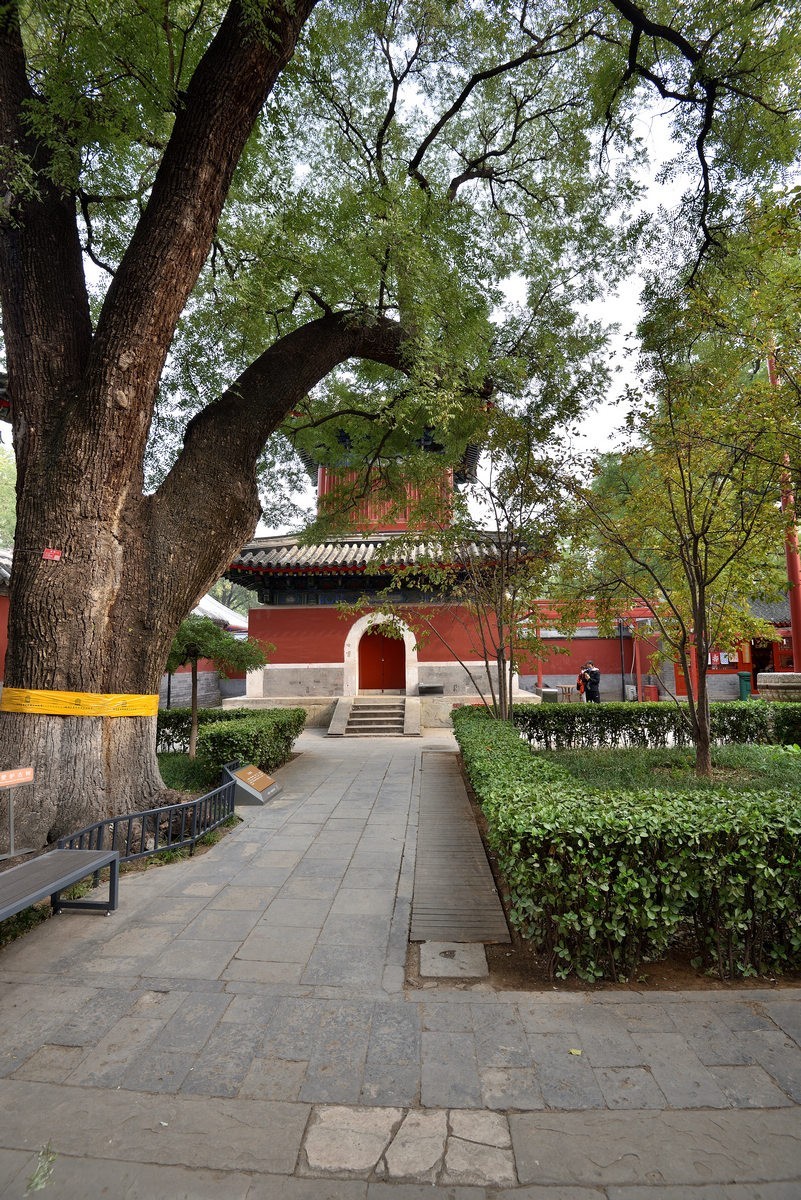 万寿寺 北京艺术博物馆 5/6-中关村在线摄影论坛
