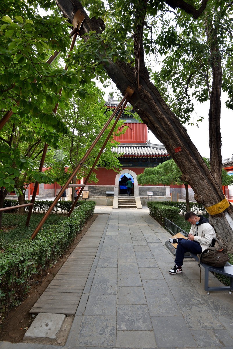 万寿寺    北京艺术博物馆  6/6