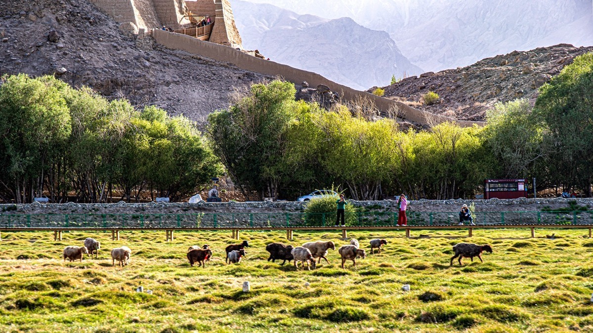 帕米尔高原【15】--金草滩湿地--祝老朋友们国庆节快乐