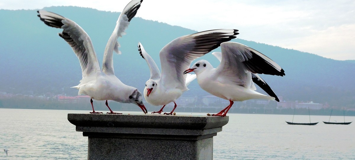 旅行随拍记实....