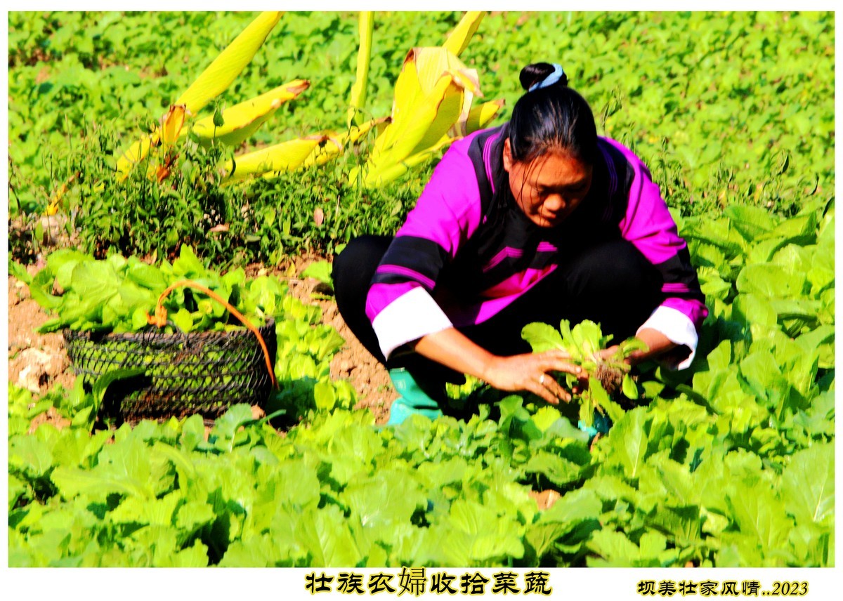 旅行随拍记实....