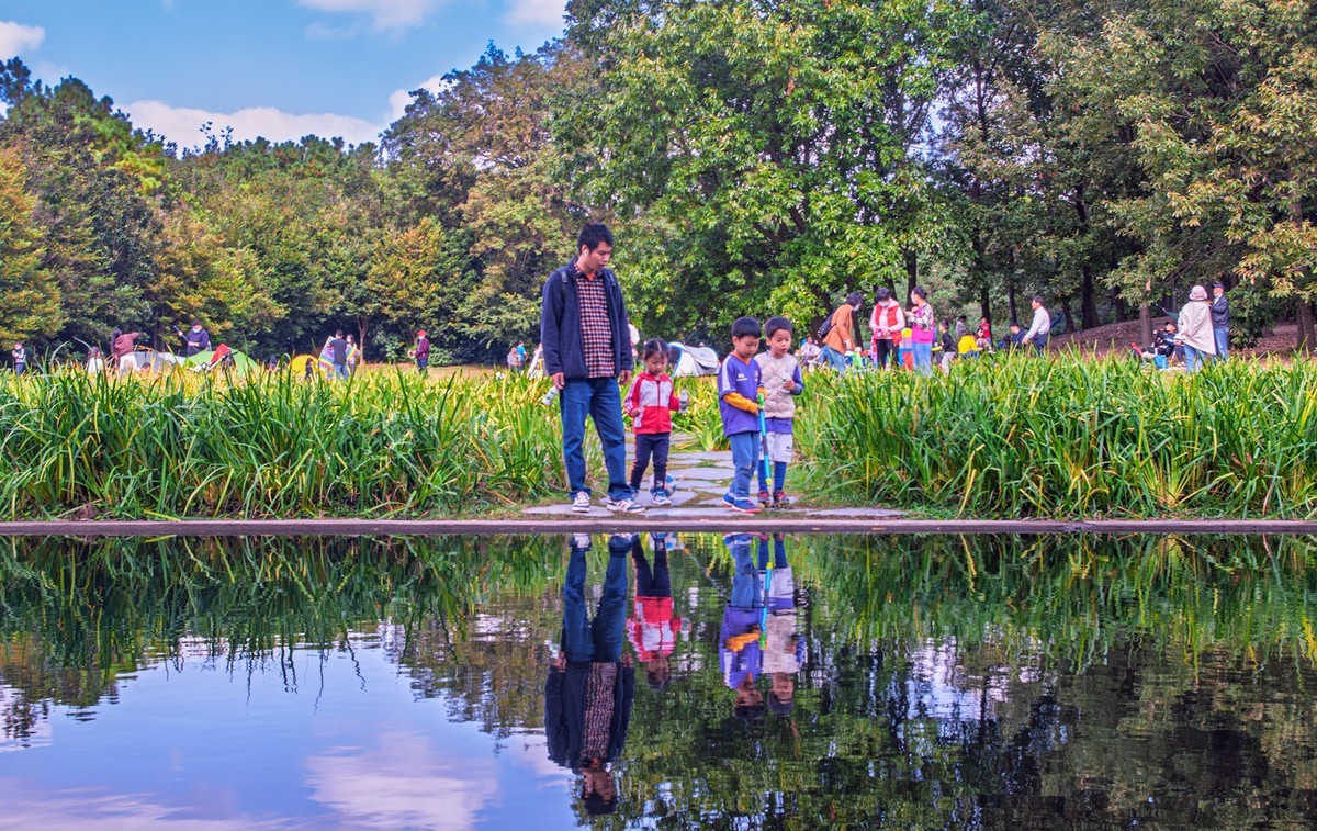 共青城森林公园
