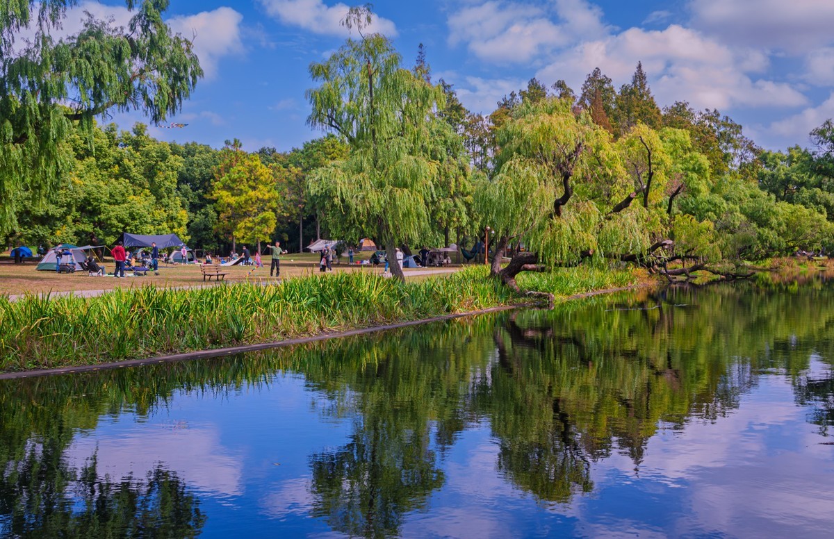 共青城森林公园