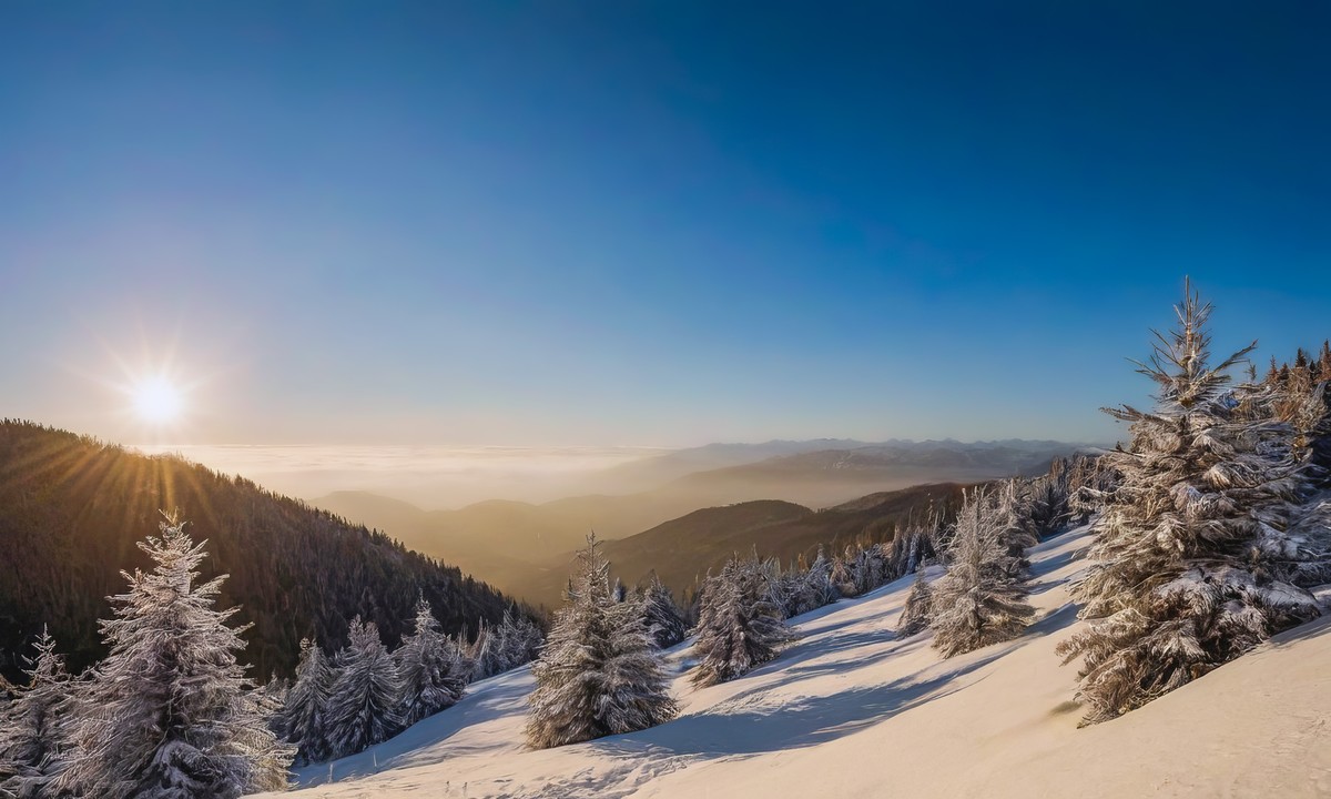 心灵深处的一次觉醒