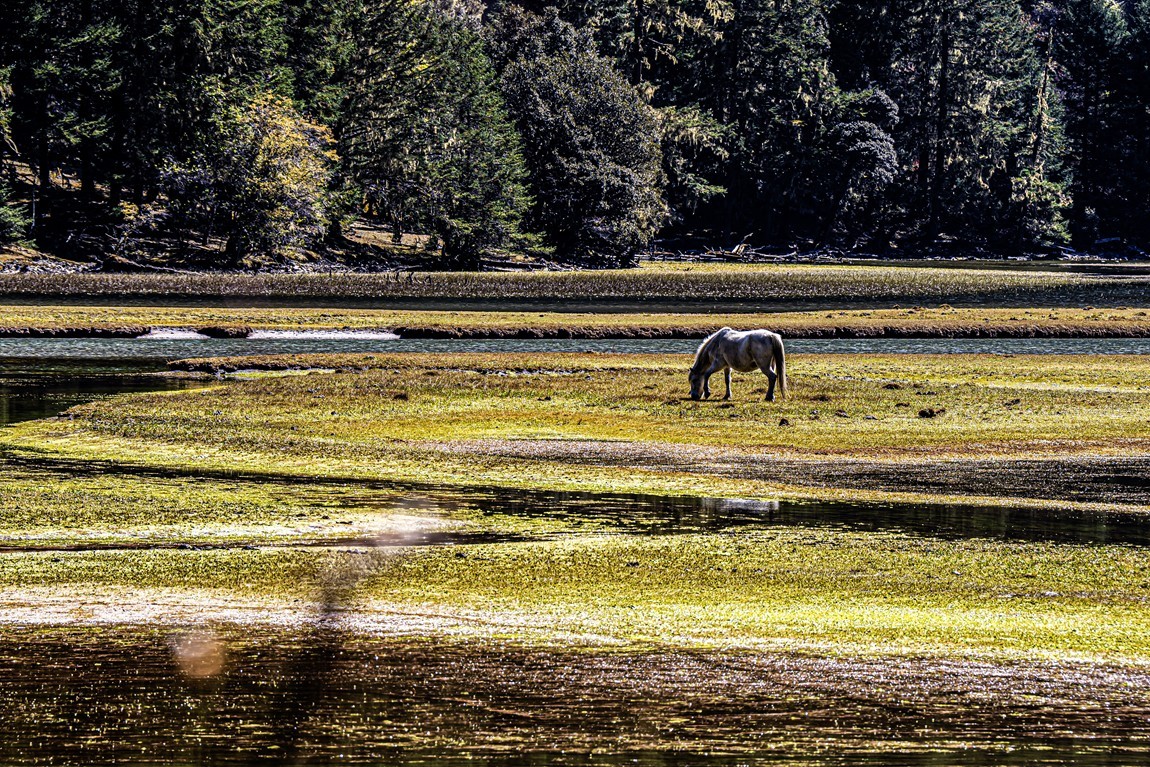 行走在318国道--初探月亮湖【10】