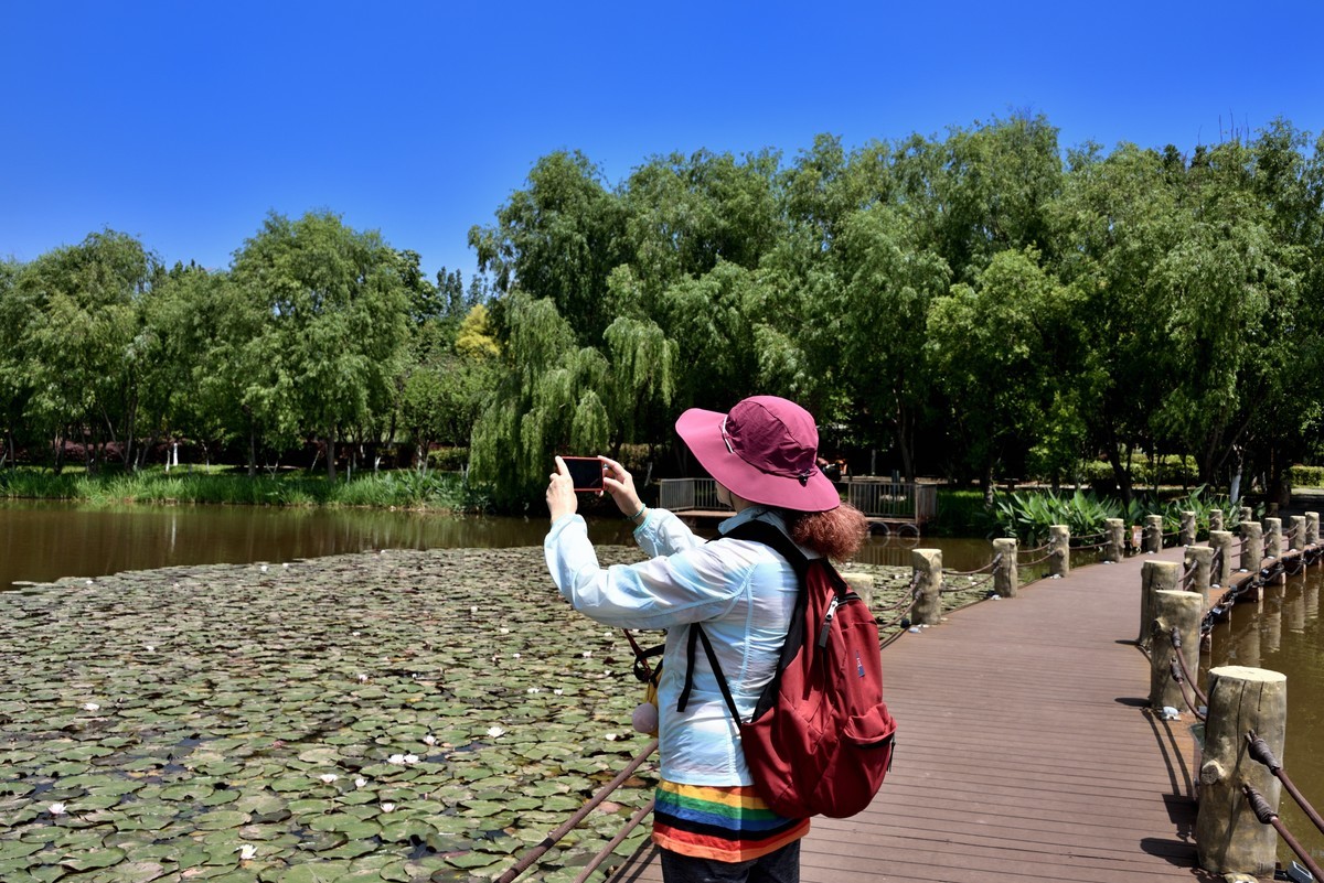 邛海国家湿地公园——烟雨鹭洲【下】