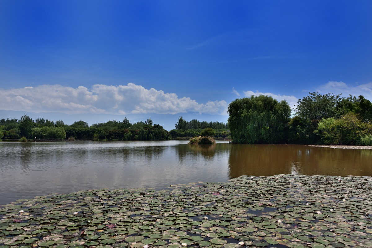 邛海国家湿地公园——烟雨鹭洲【下】