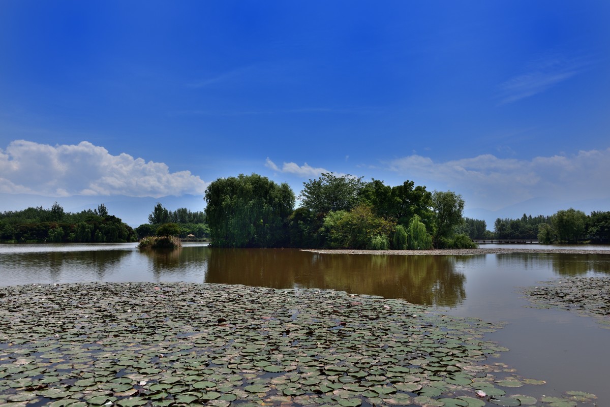 邛海国家湿地公园——烟雨鹭洲【下】