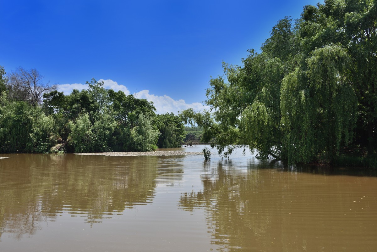 邛海国家湿地公园——烟雨鹭洲【下】
