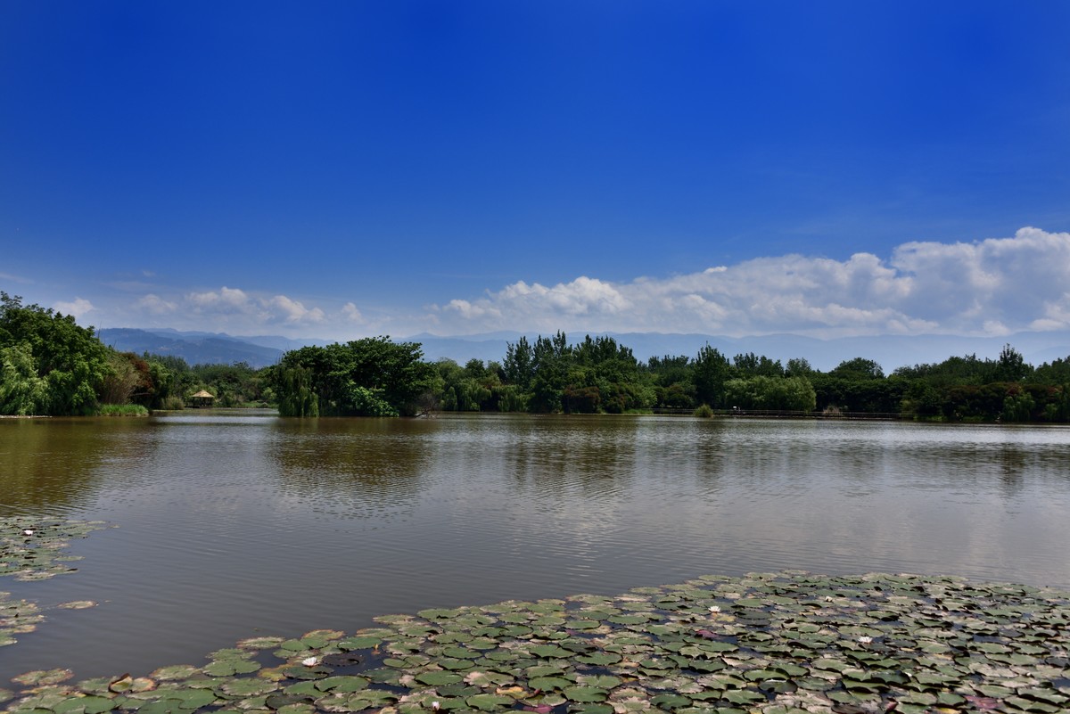 邛海国家湿地公园——烟雨鹭洲【下】