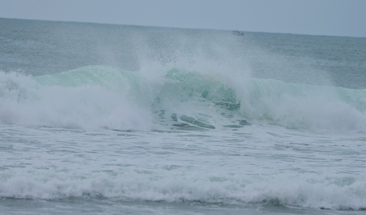 浪花
